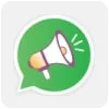 whatsapp-marketing